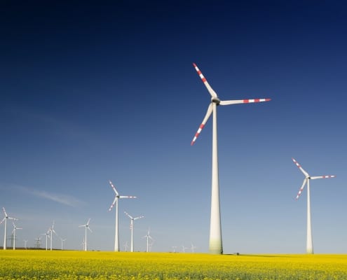 Should Small Companies Care About CSR? An Honest Answer