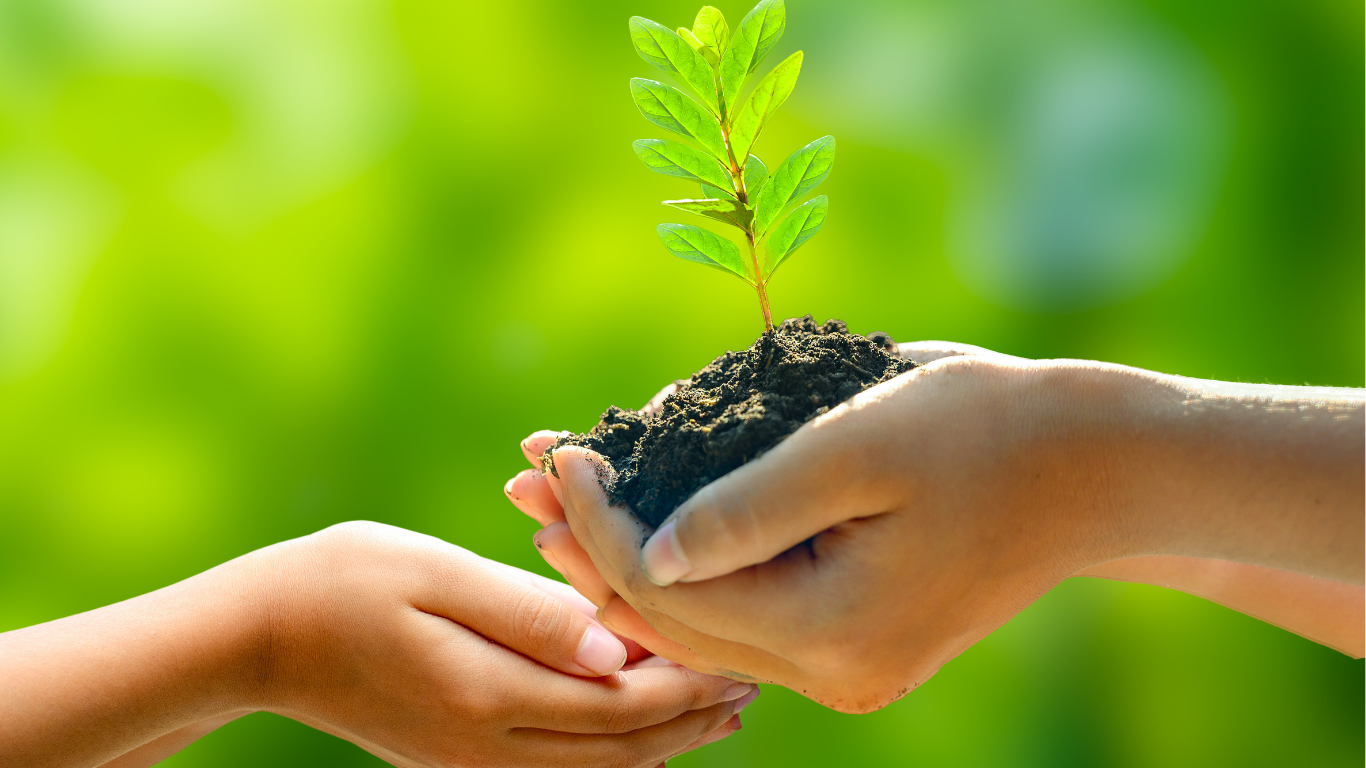 Environmental Impact Visualization